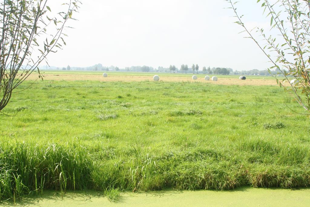 Camping De Grienduil Nieuwland  Esterno foto